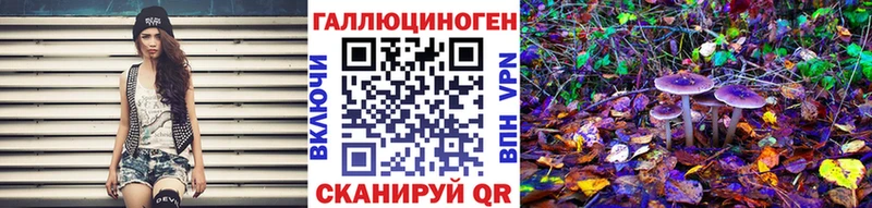 Псилоцибиновые грибы Psilocybine cubensis  мега как зайти  Ядрин 